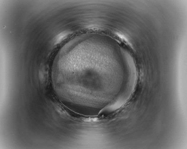 X0000086940968200704301134