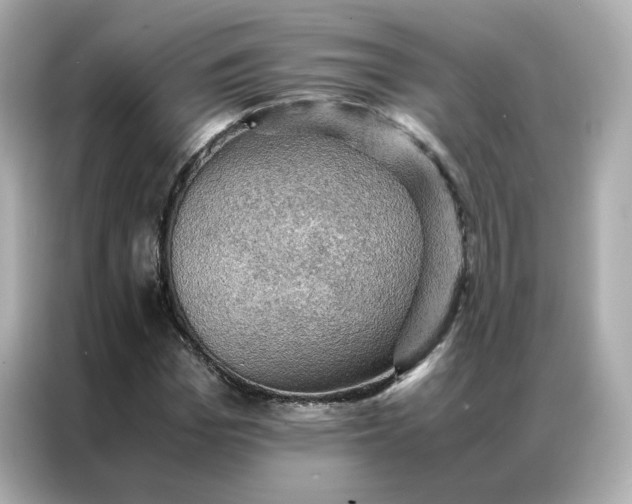 X0000086940969200704301134