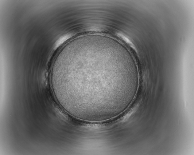 X0000086940970200704301134