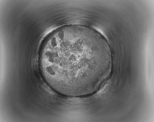 X0000086940971200704301134
