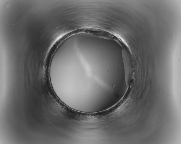 X0000086940975200704301134