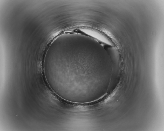 X0000086940977200704301134