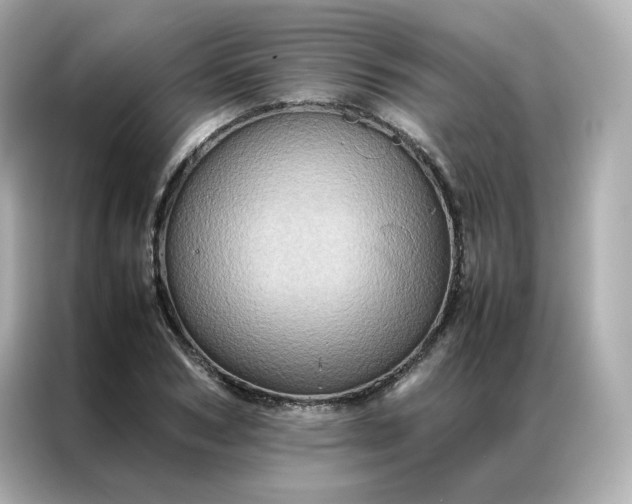 X0000086940978200704301134