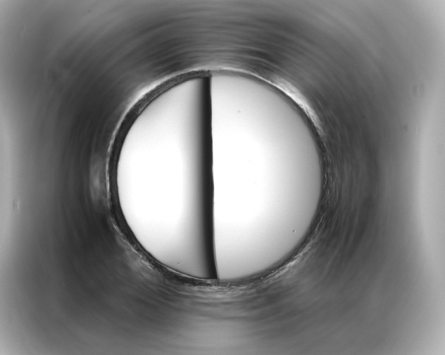 X0000086940980200704301134