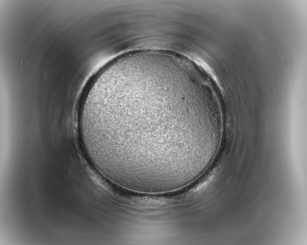 X0000086940981200704301134