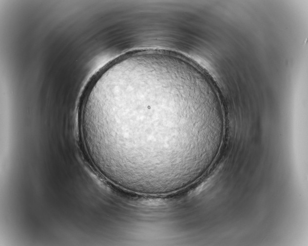 X0000086940982200704301134