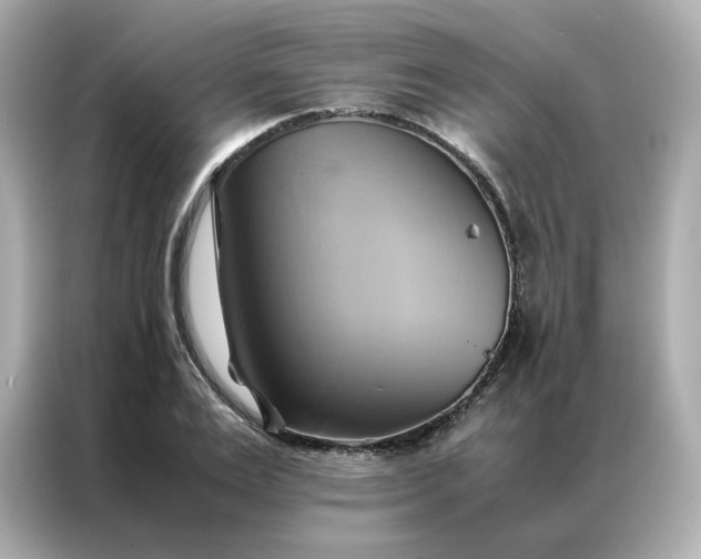 X0000086940983200704301134