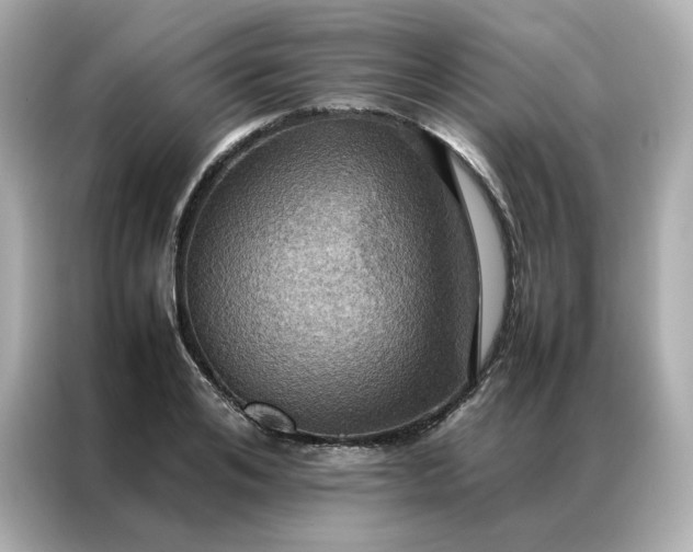 X0000086940984200704301134
