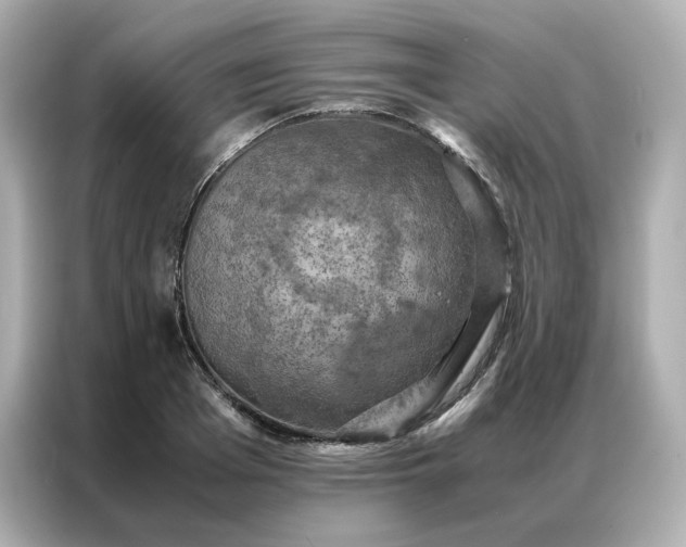 X0000086940985200704301134