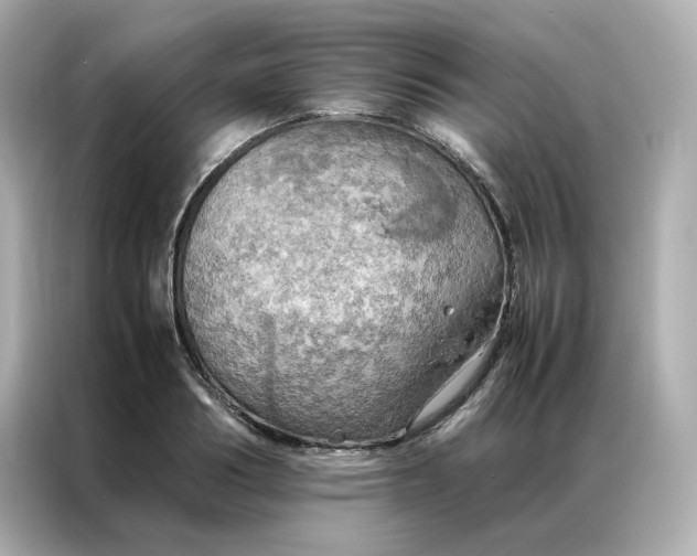 X0000086940986200704301134