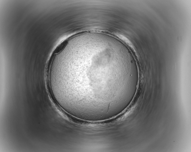 X0000086940989200704301133