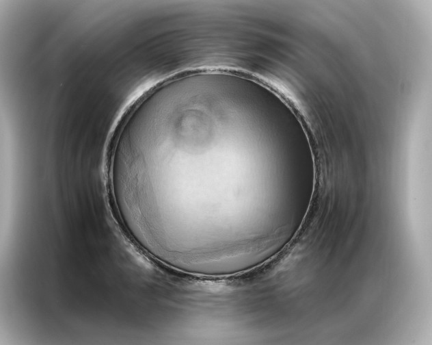 X0000086940990200704301133