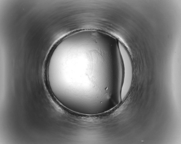 X0000086940991200704301133