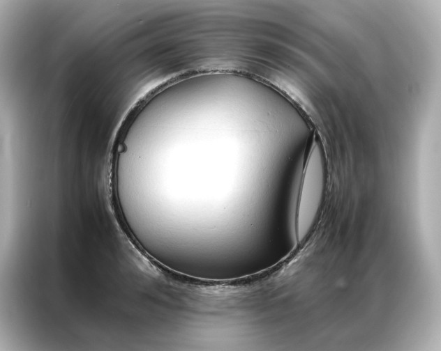 X0000086940992200704301133