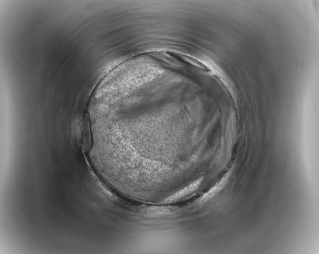 X0000086940993200704301133