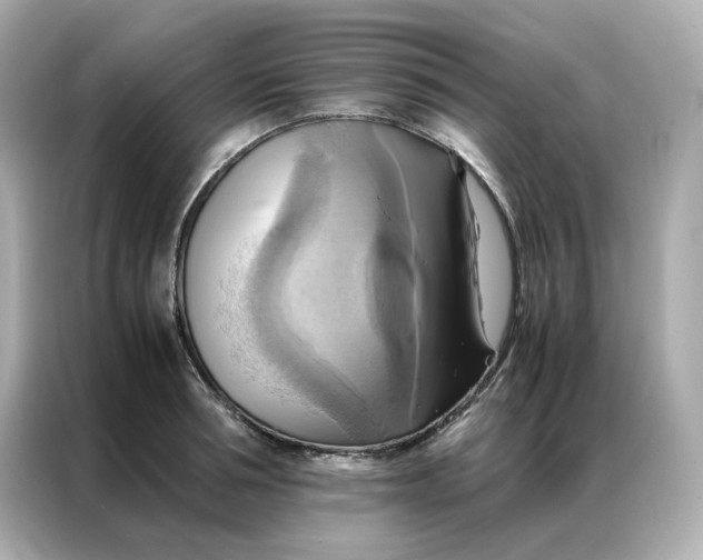 X0000086940994200704301133