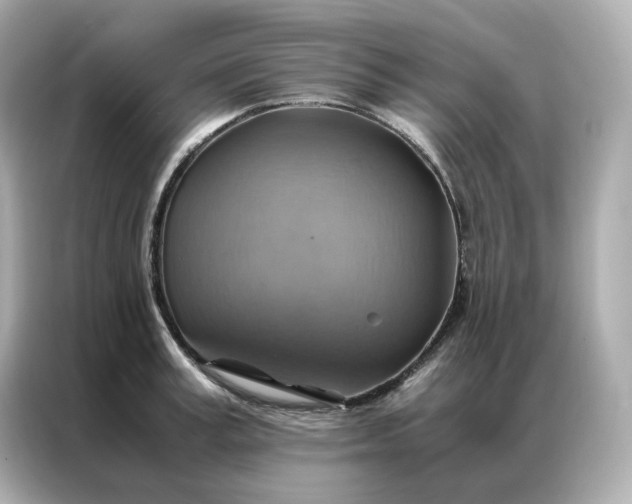 X0000086940995200704301133