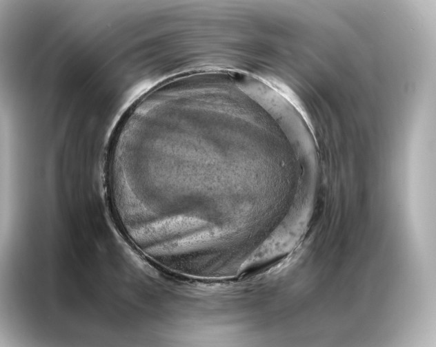 X0000086940997200704301133