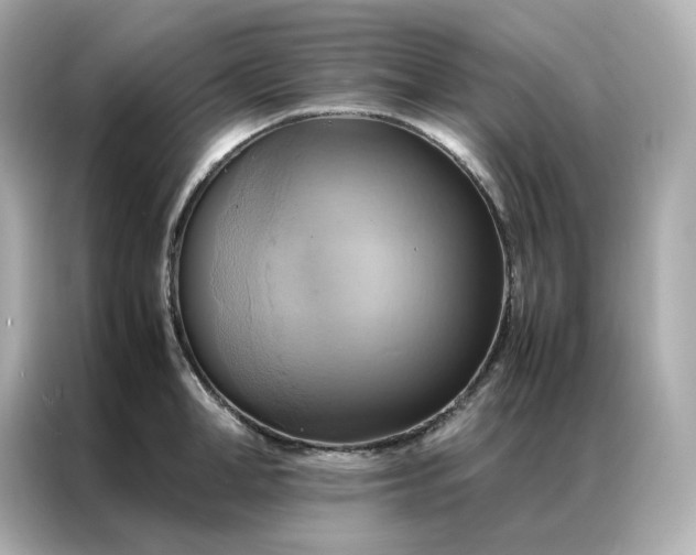 X0000086940998200704301133