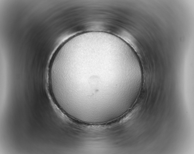 X0000086941000200704301133