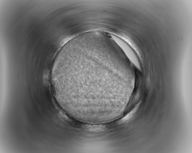 X0000086941001200704301133