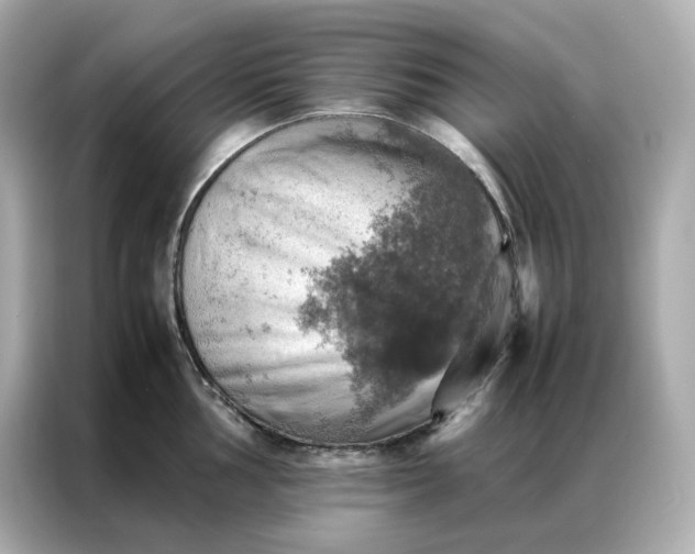 X0000086941002200704301133