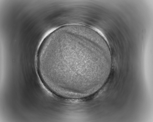 X0000086941003200704301133