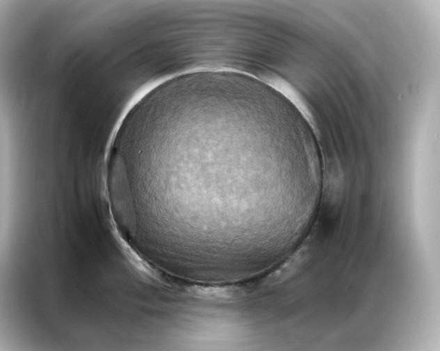 X0000086941004200704301133