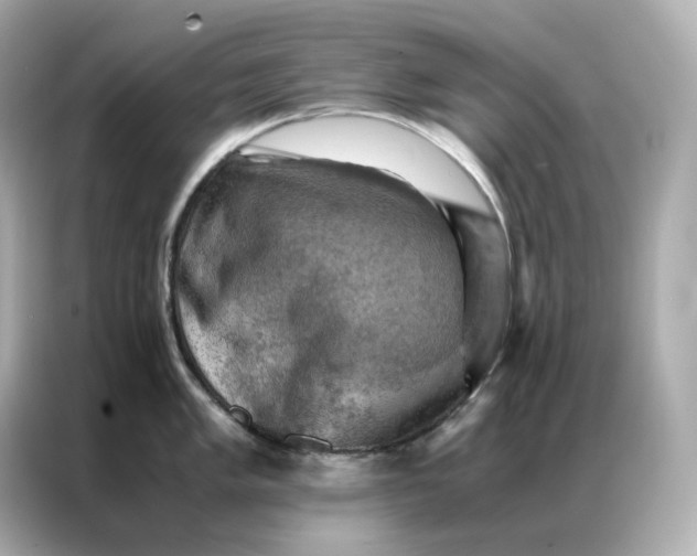 X0000086941005200704301133