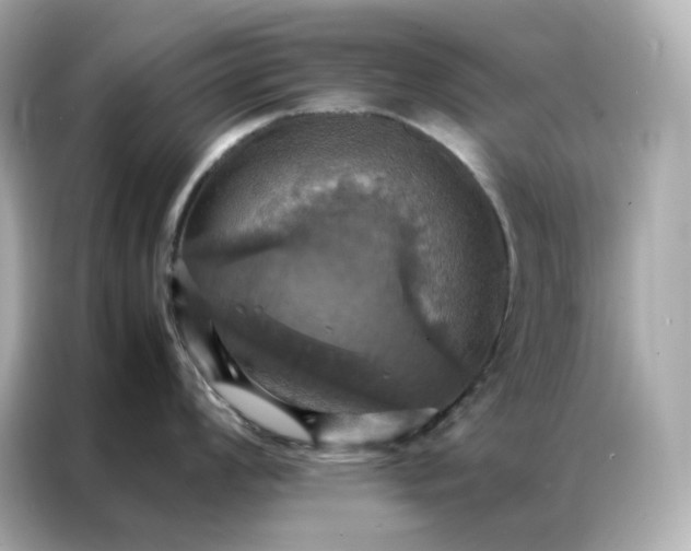 X0000086941008200704301133