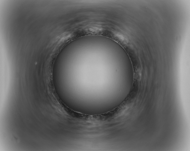 X0000086941009200704301133