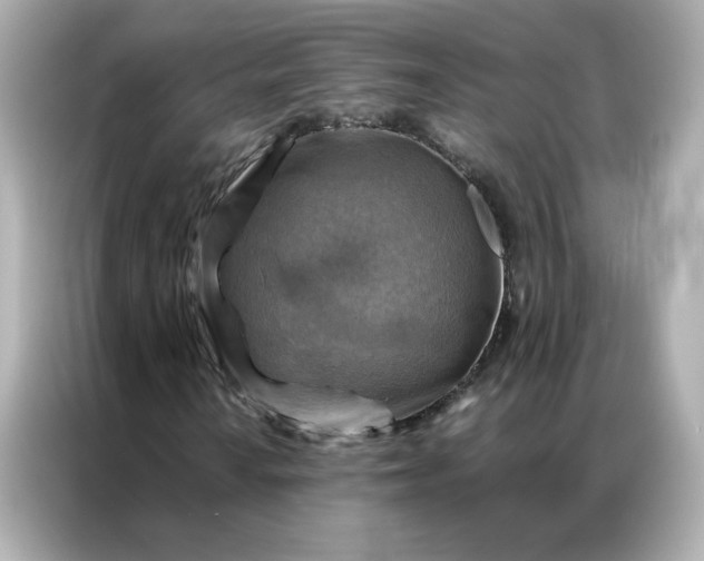 X0000086941010200704301133
