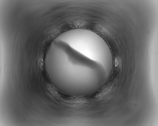 X0000086941011200704301133