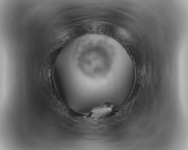 X0000086941013200704301133