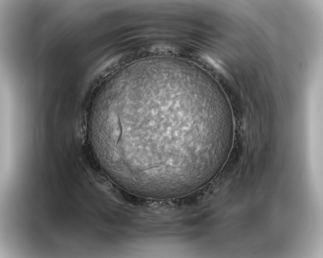 X0000086941015200704301133