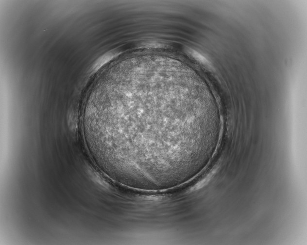 X0000086941017200704301133