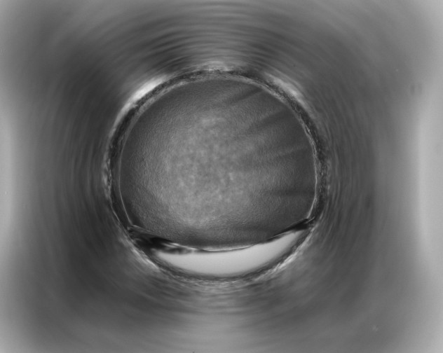 X0000086941018200704301133