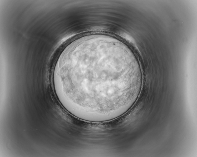 X0000086941019200704301133