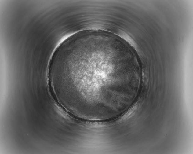X0000086941020200704301133