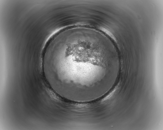 X0000086941021200704301133