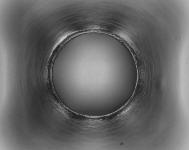 X0000086941023200704301133