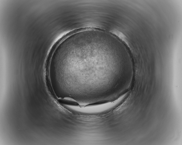 X0000086941024200704301133