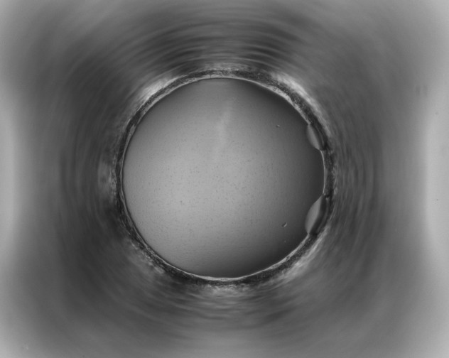 X0000086941025200704301133