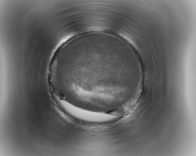 X0000086941026200704301133