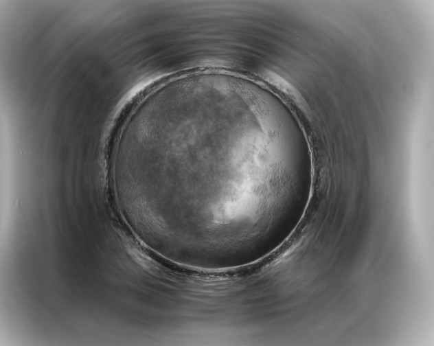 X0000086941027200704301133
