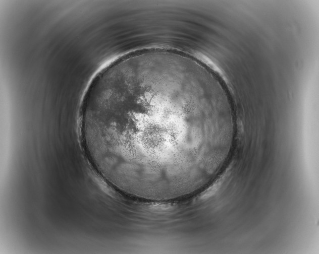 X0000086941029200704301133