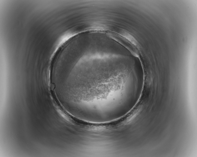 X0000086941030200704301133