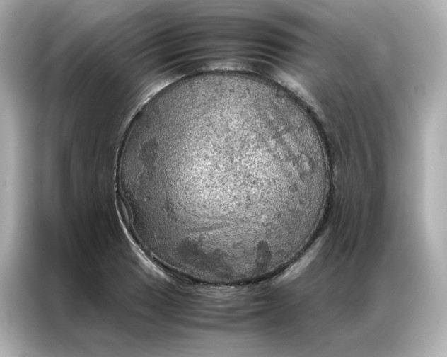X0000086941033200704301133