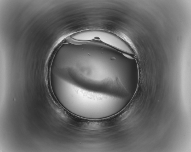 X0000086941035200704301133