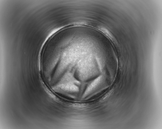X0000086941036200704301133
